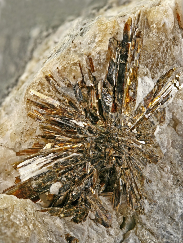 Astrophyllite Specimen picture