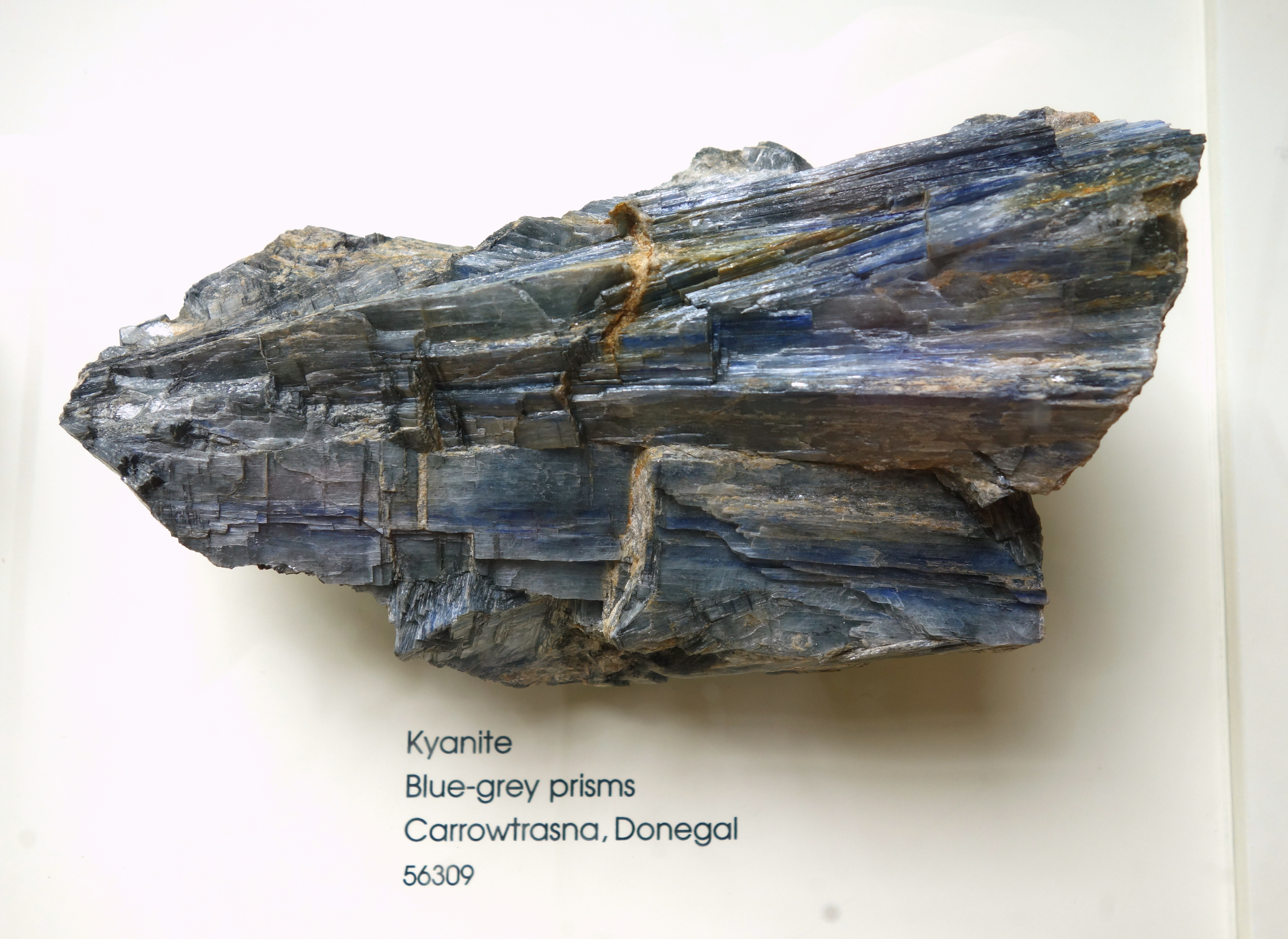 Blue Kyanite Specimen picture