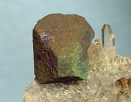 Bornite Specimen picture