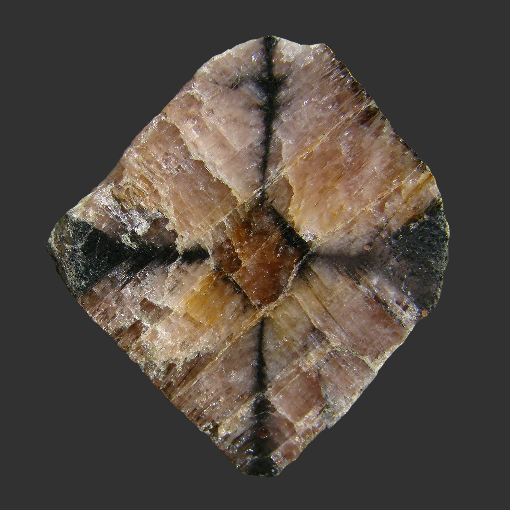 Chiastolite Specimen picture