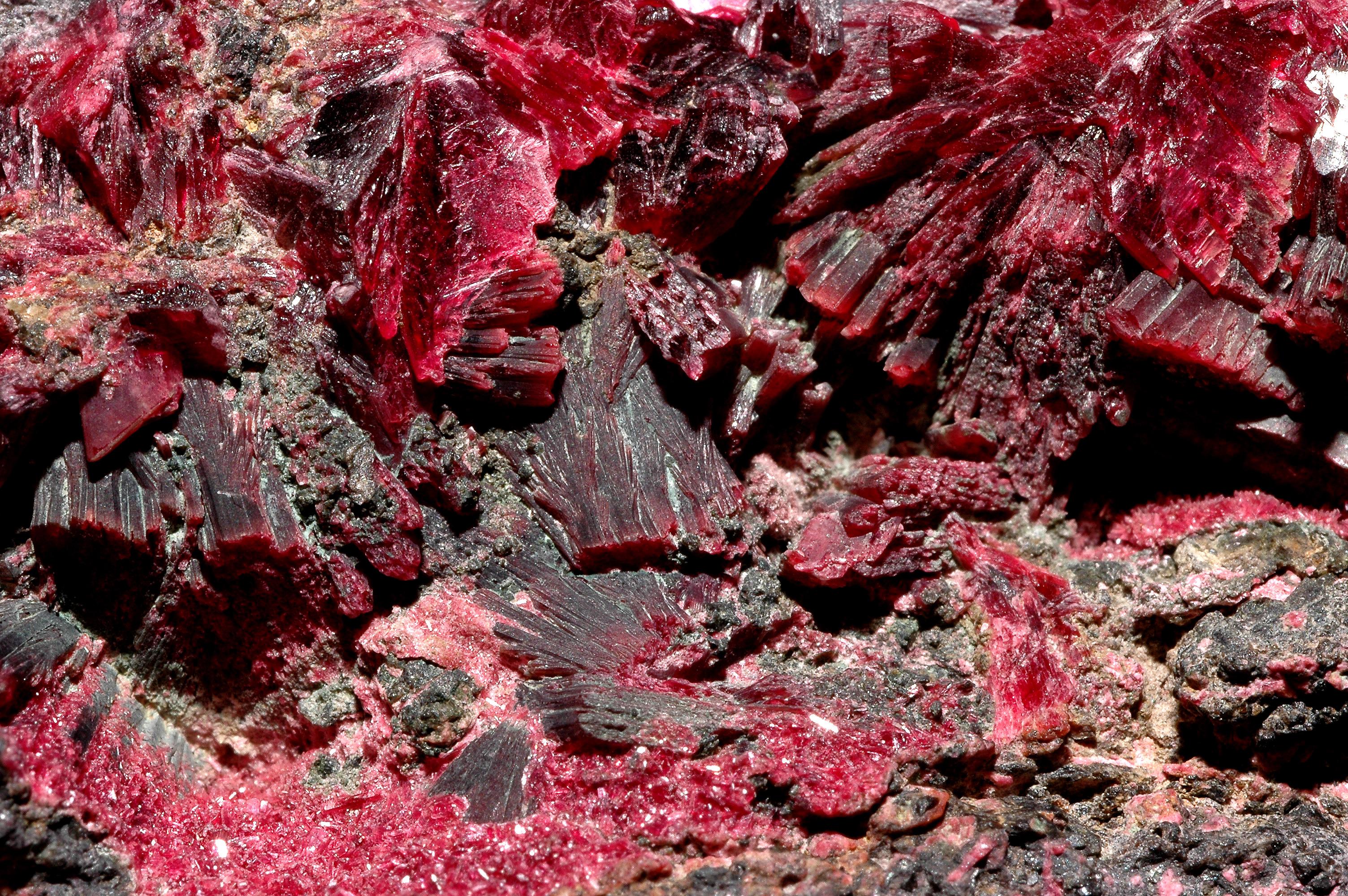 Erythrite Specimen picture