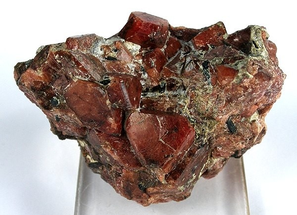 Eudialyte Specimen picture