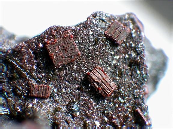 Fayalite Specimen picture