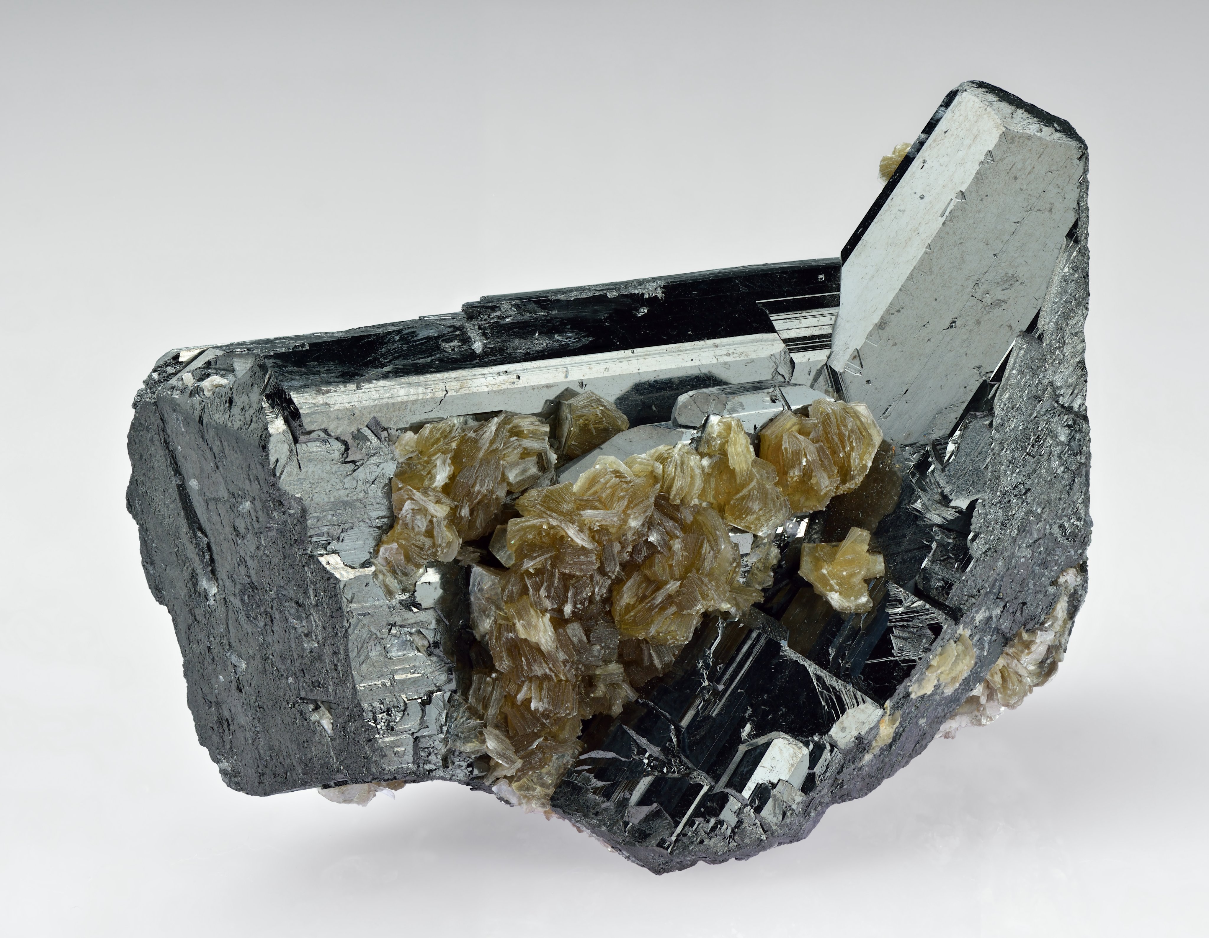 Ferberite Specimen picture