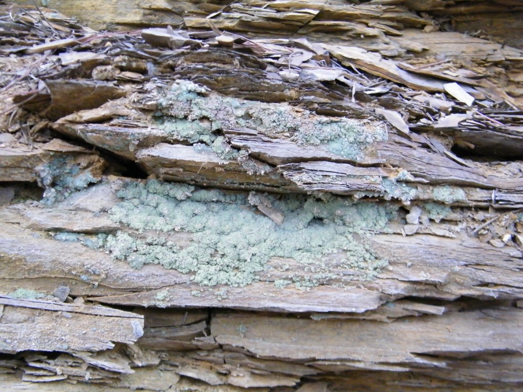Melanterite Specimen picture