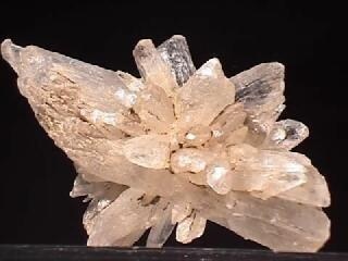 Mirabilite Specimen picture