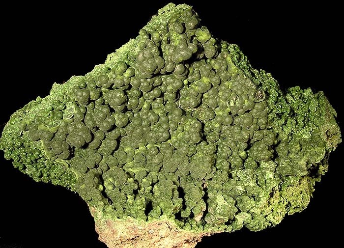 Mottramite Specimen picture