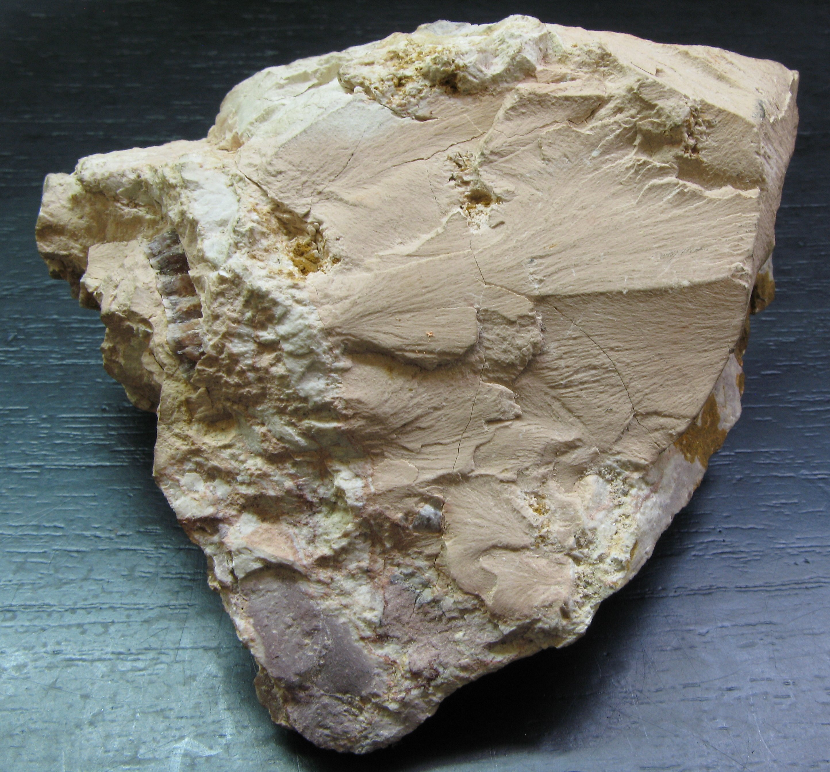Nacrite Specimen picture