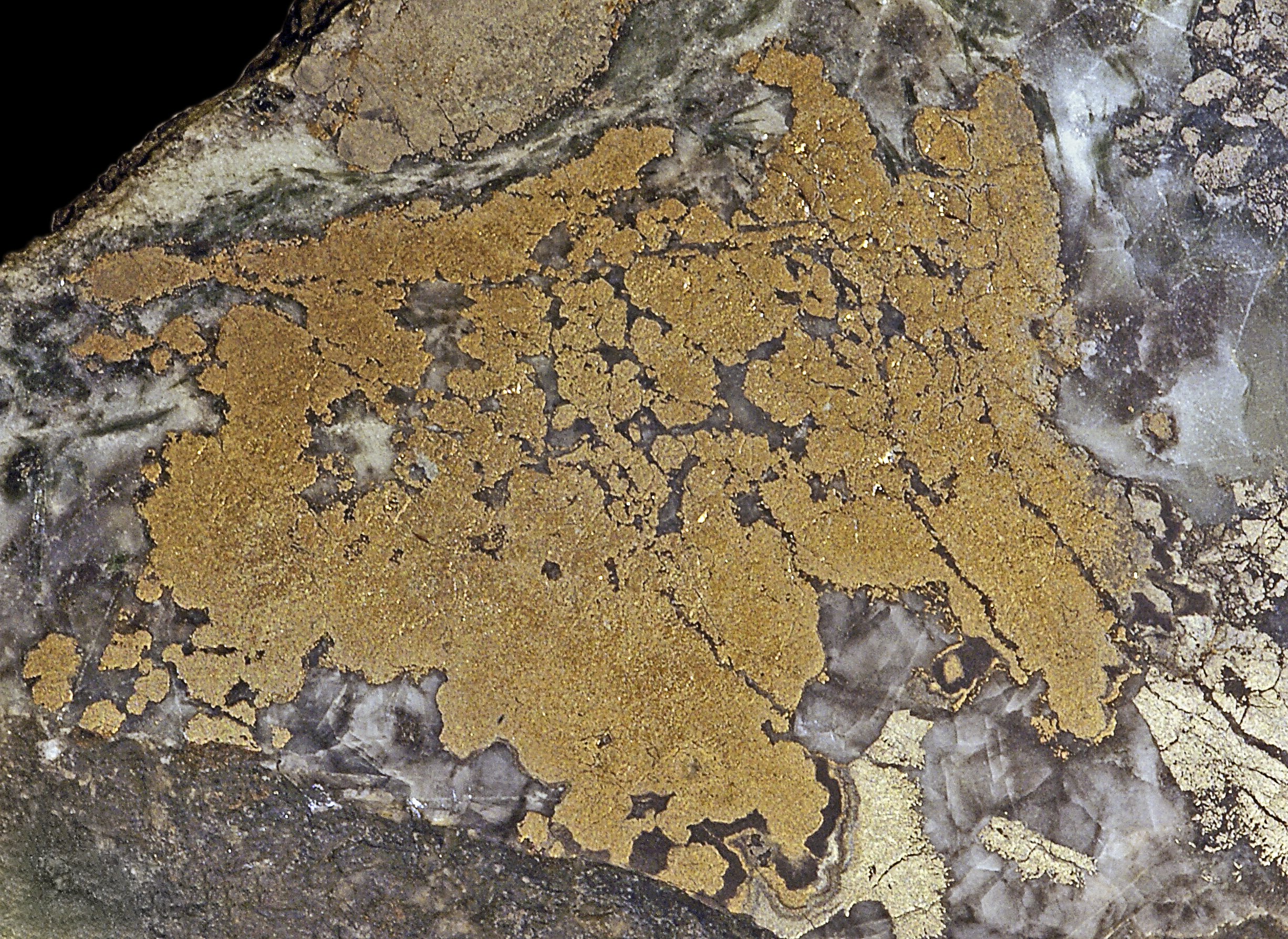 Nickeline Specimen picture