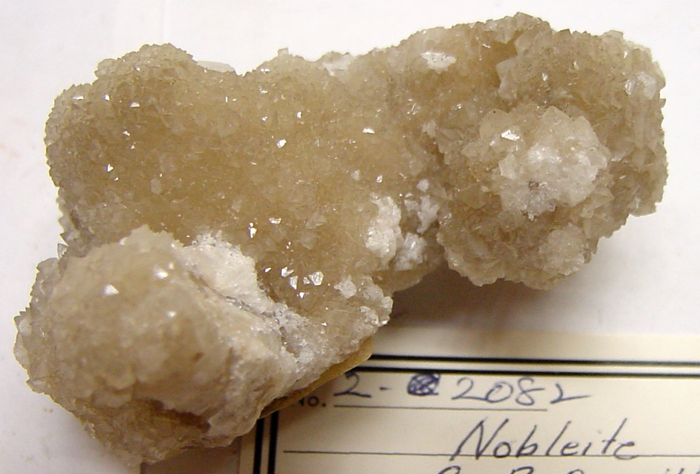 Nobleite Specimen picture