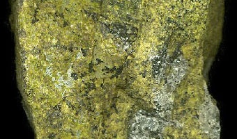 Nontronite Specimen picture