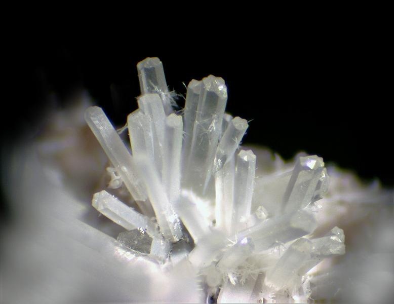 Nosean Specimen picture
