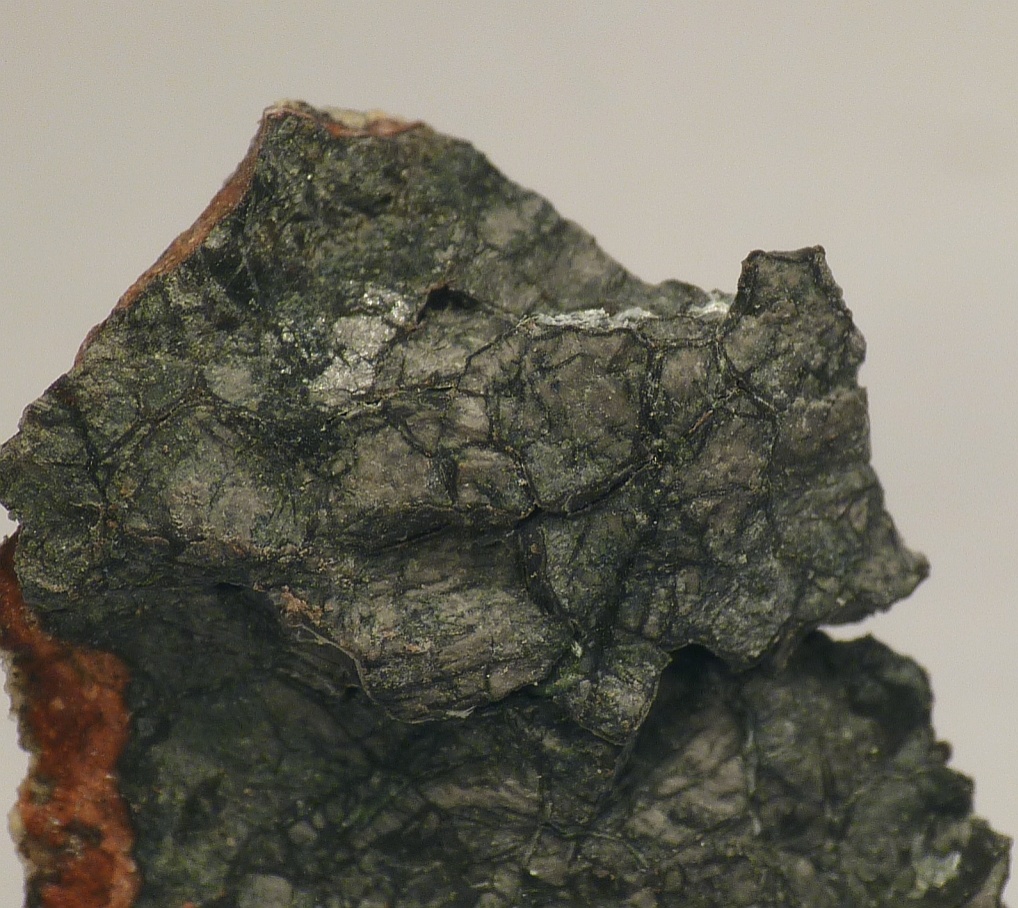 Oldhamite Specimen picture