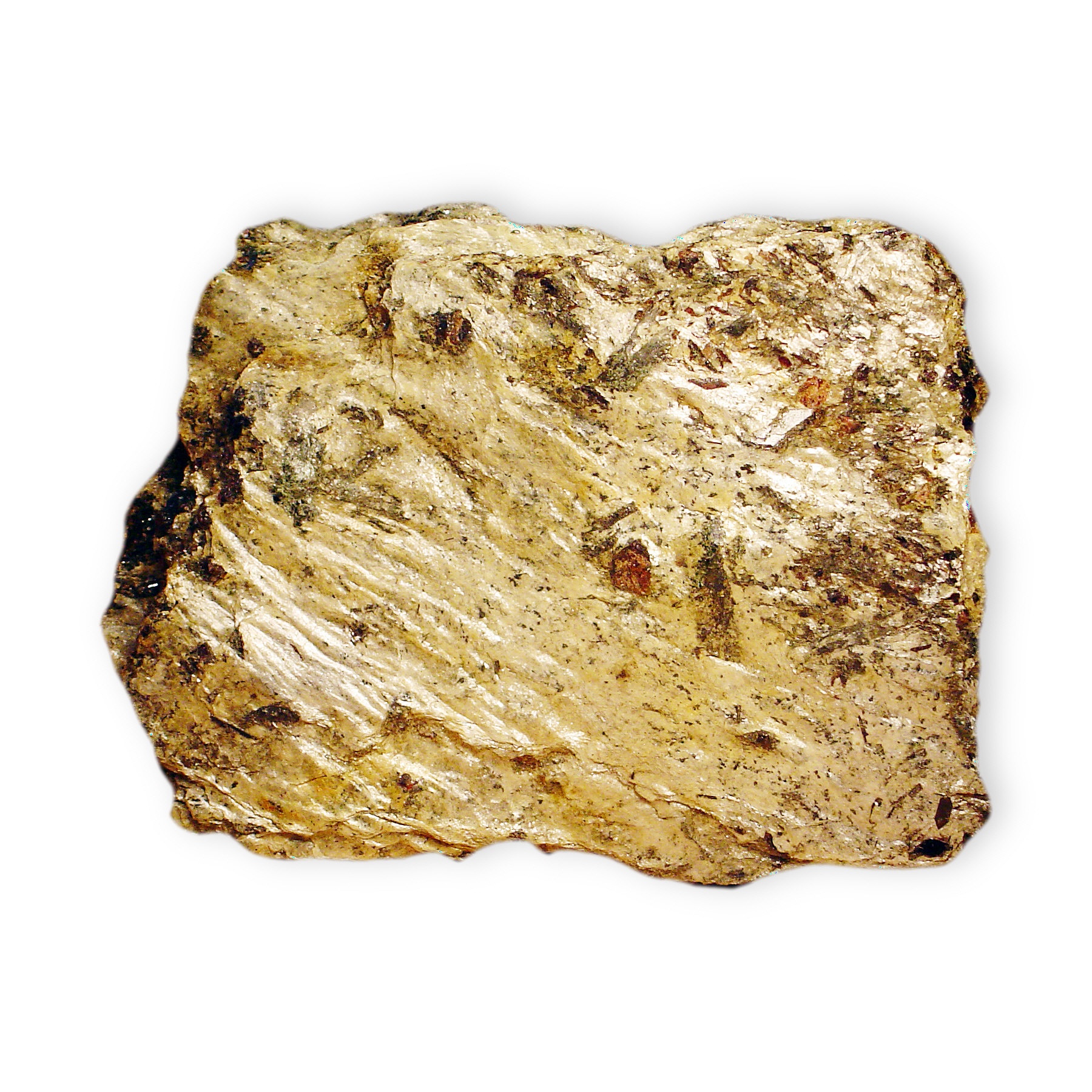 Paragonite Specimen picture
