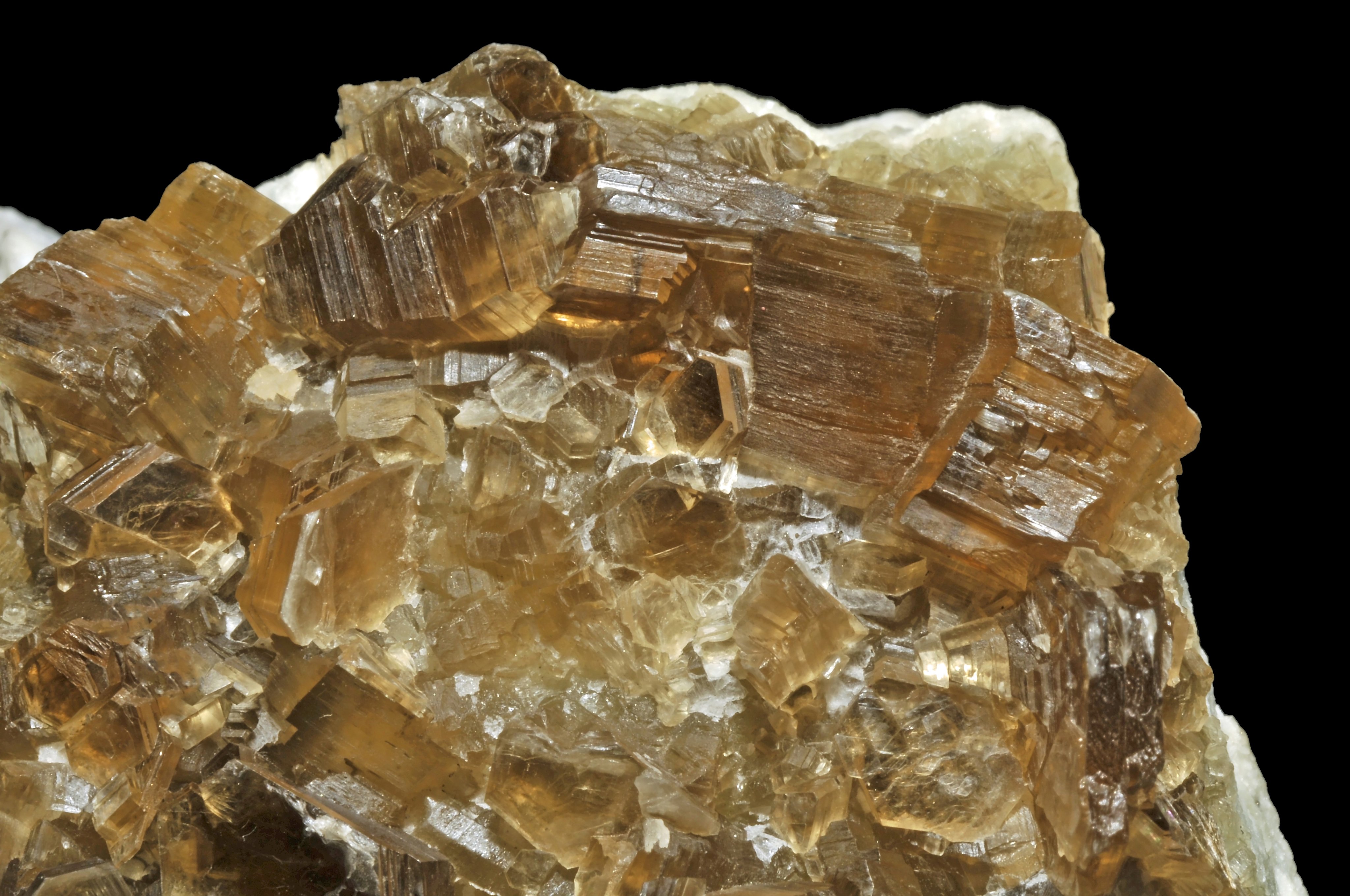 Phlogopite Specimen picture