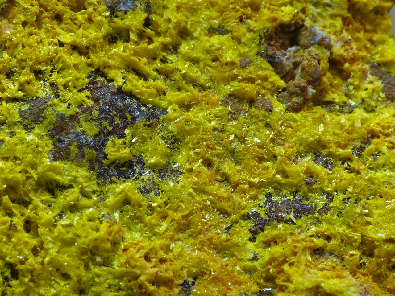 Phosphuranylite Specimen picture