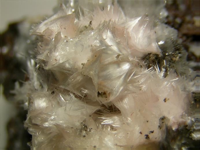 Pickeringite Specimen picture