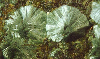 Pumpellyite Specimen picture