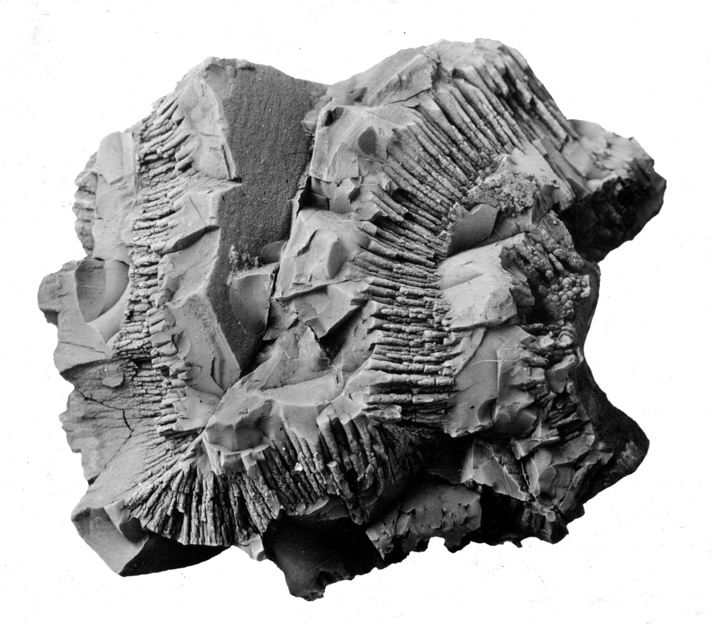Pyrolusite Specimen picture