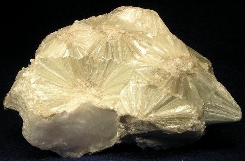 Pyrophyllite Specimen picture