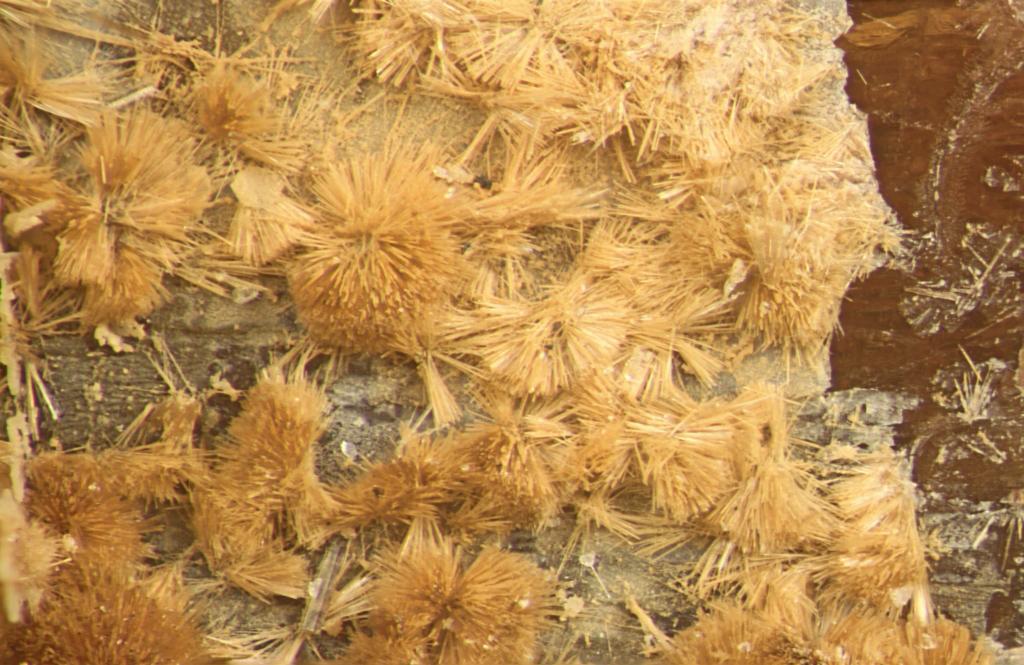 Raite Specimen picture