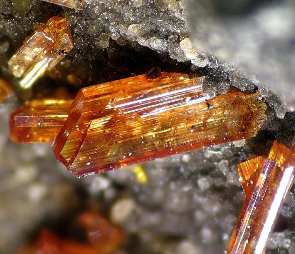 Raspite Specimen picture