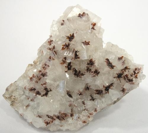 Ruizite Specimen picture