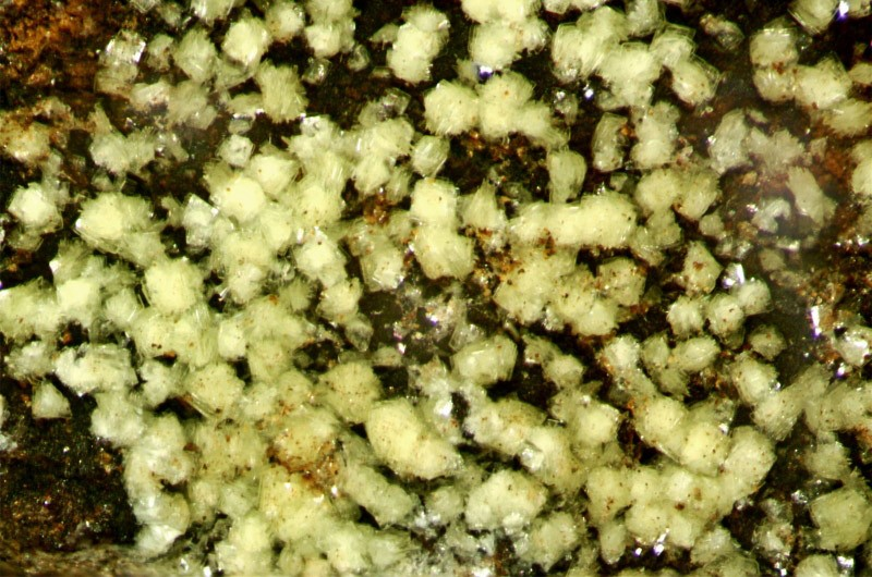Sabugalite Specimen picture