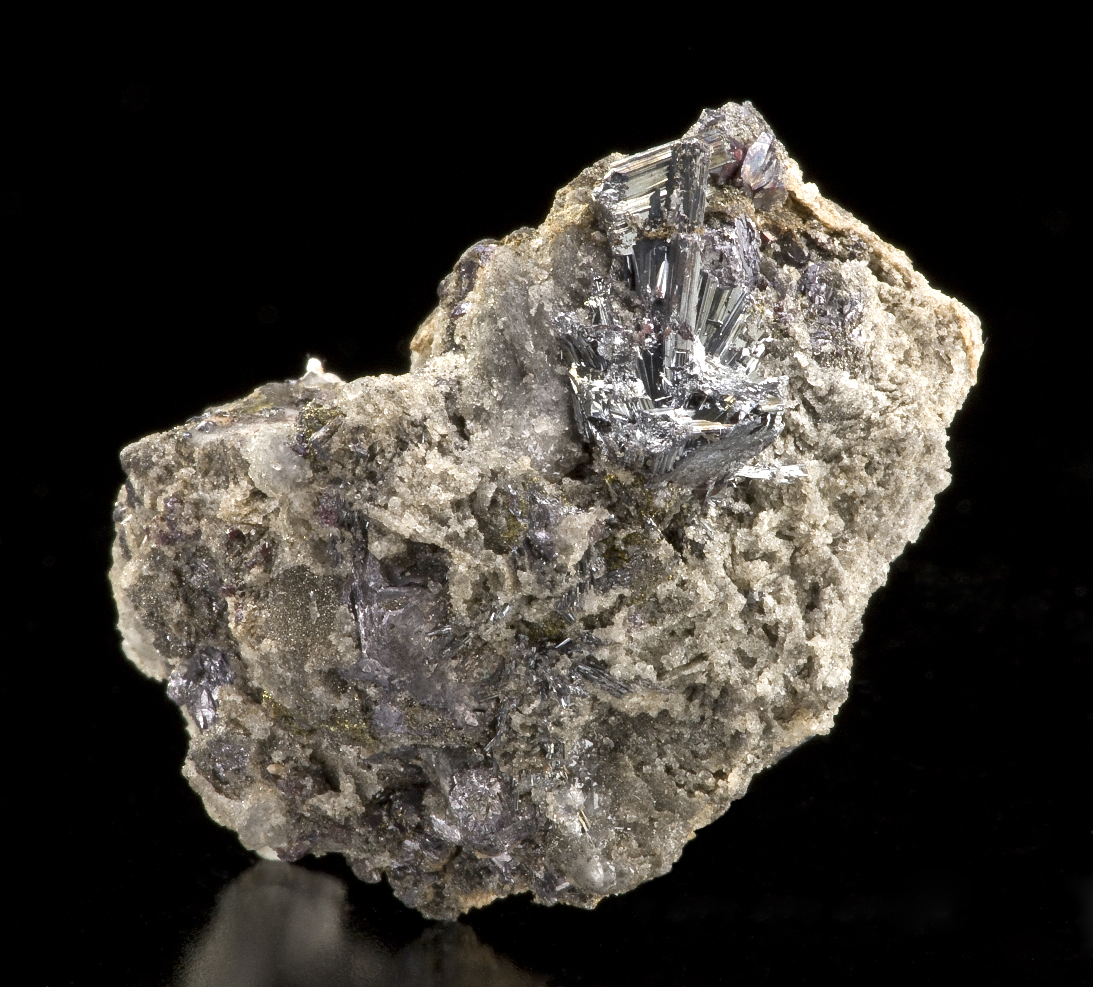 Samsonite Specimen picture