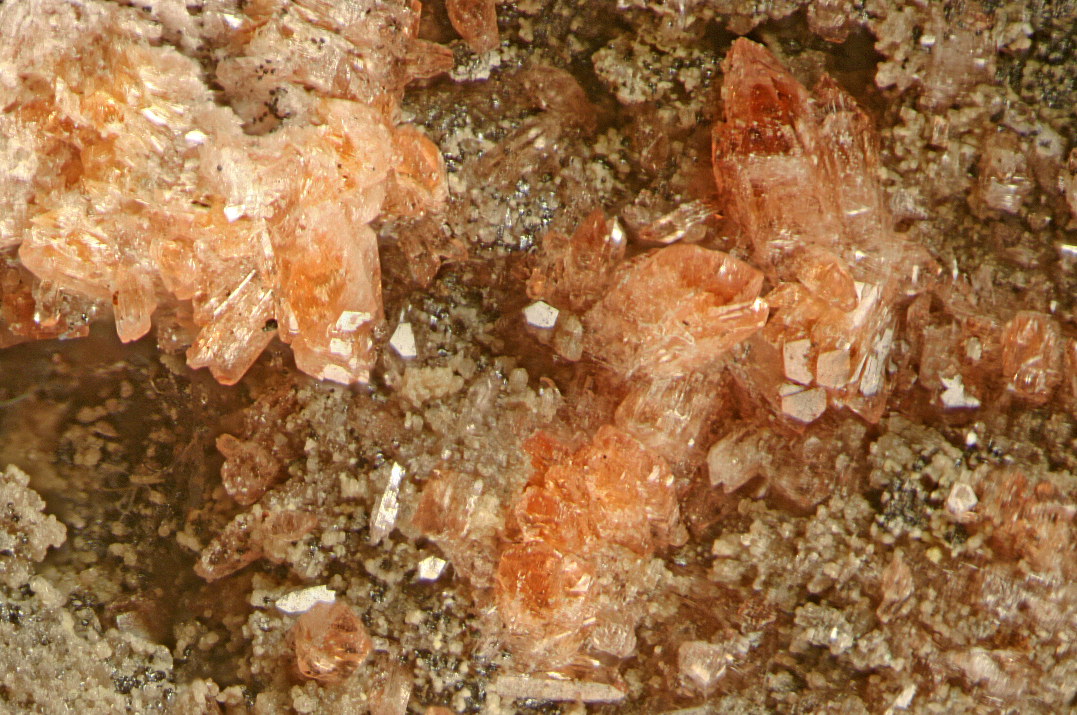 Sarkinite Specimen picture