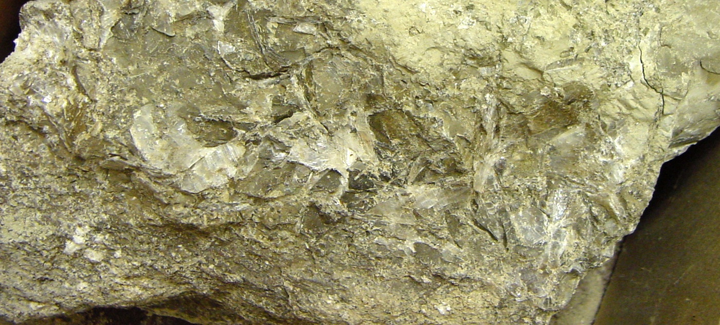 Searlesite Specimen picture