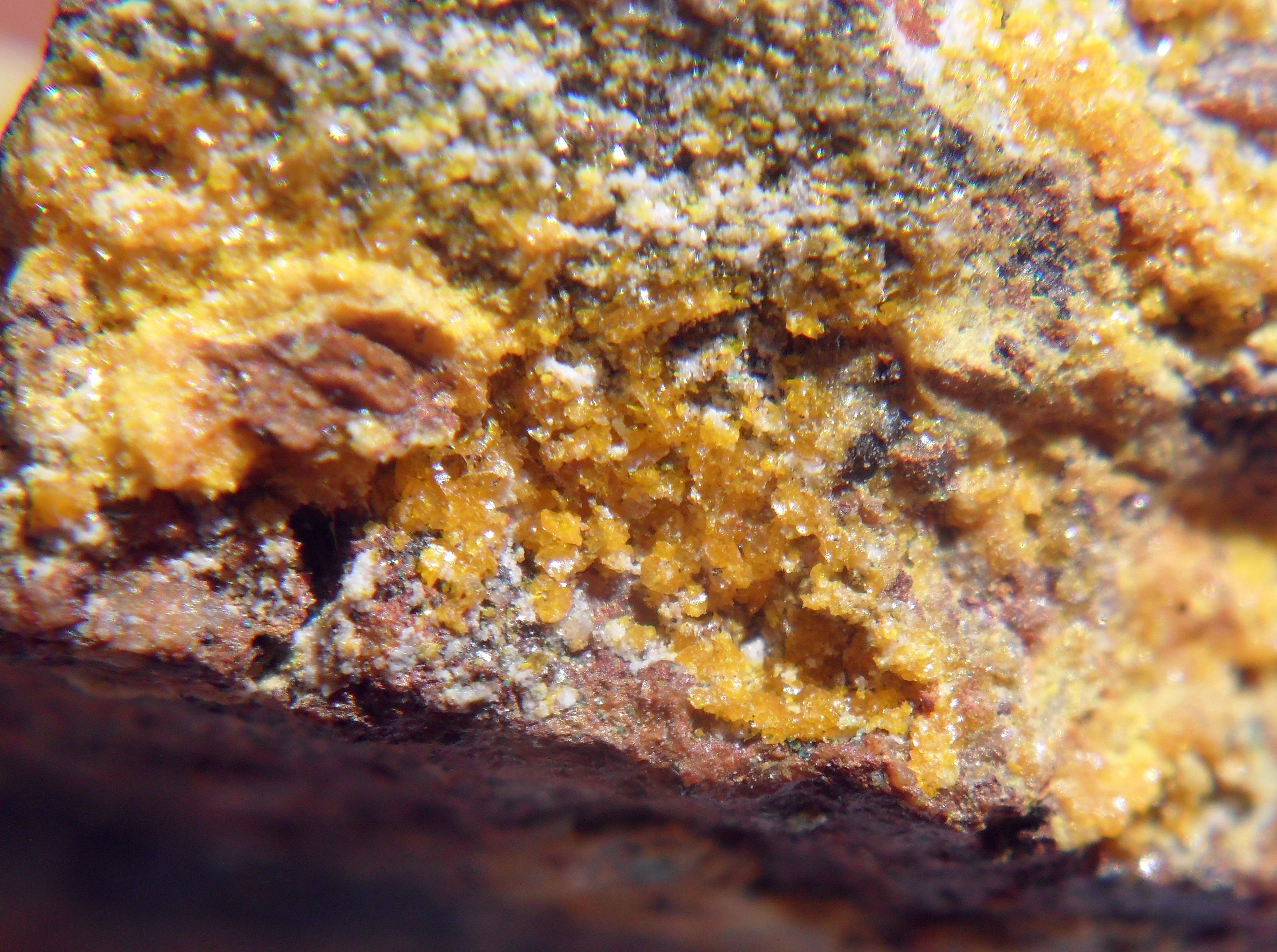 Seeligerite Specimen picture