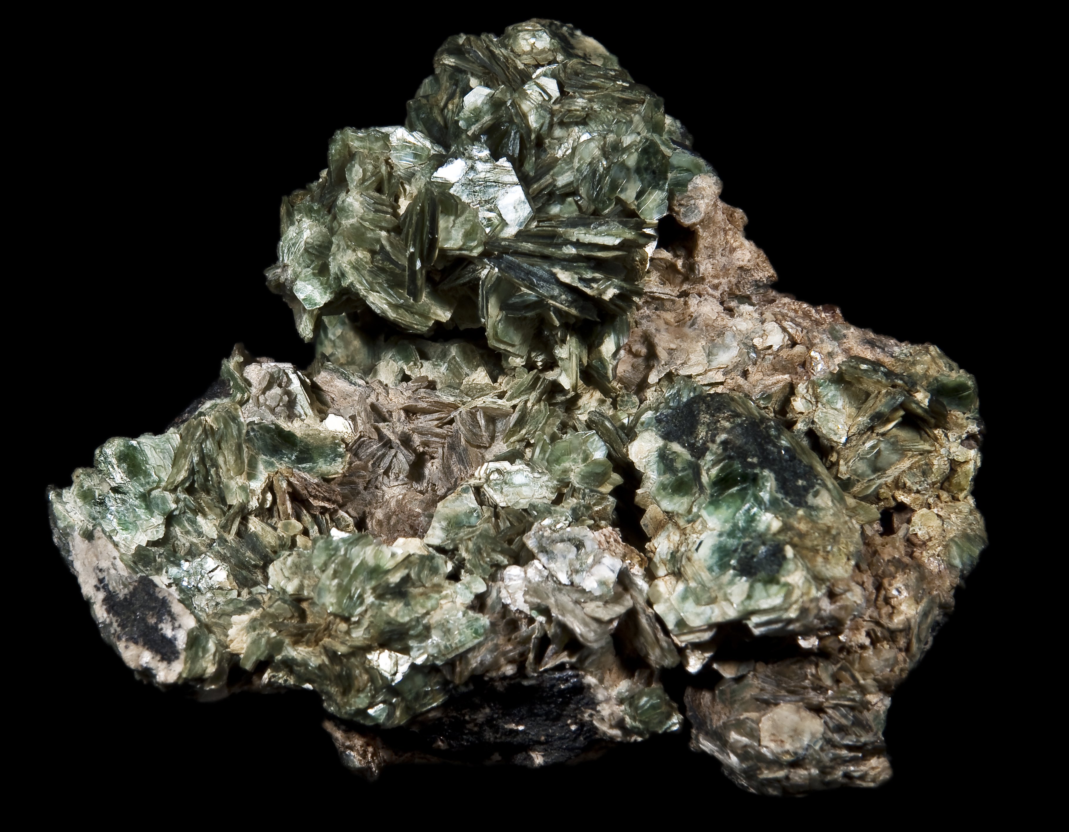 Siderophyllite Specimen picture