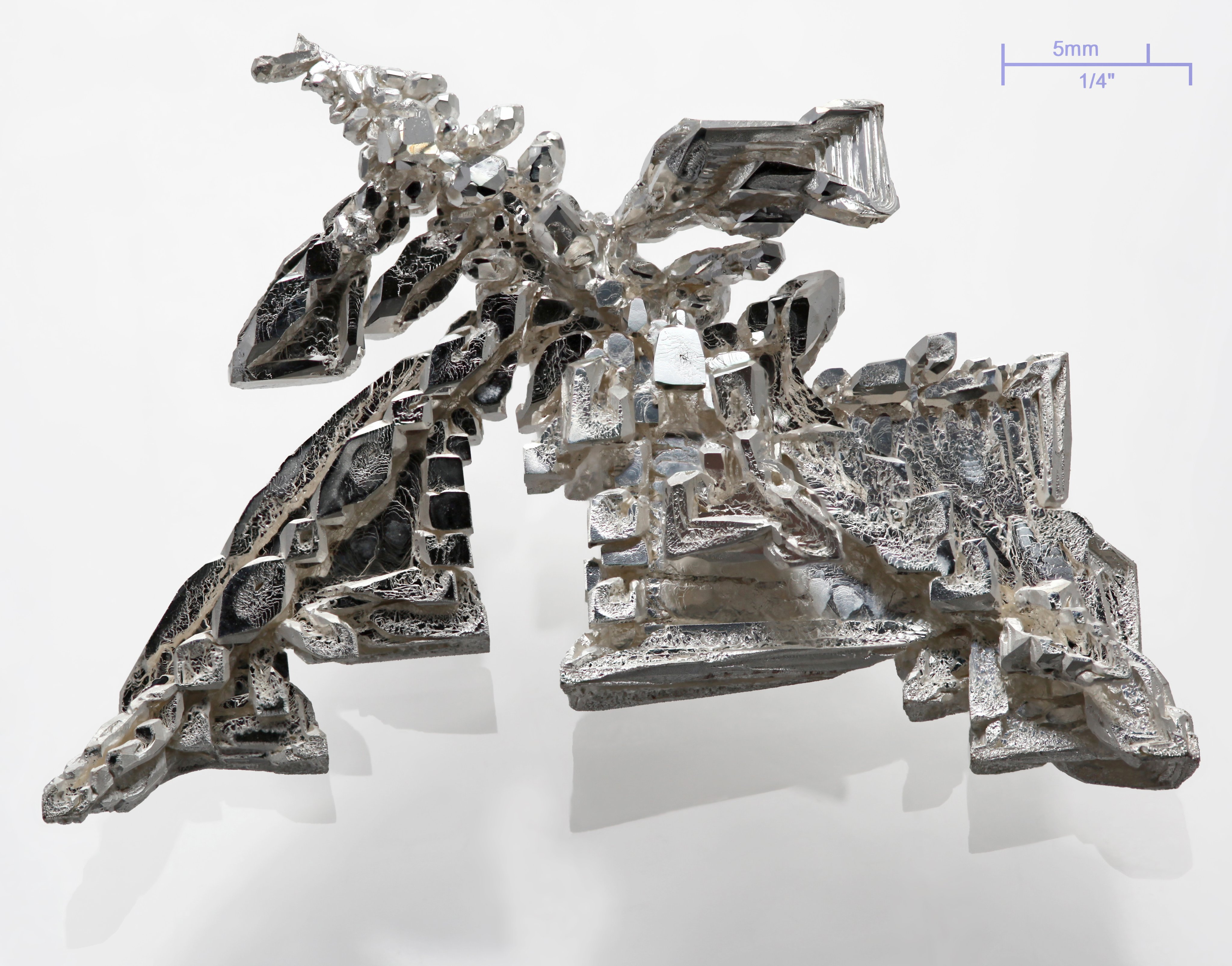 Silver Specimen picture