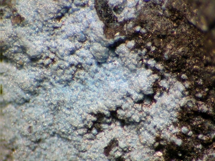 Spertiniite Specimen picture