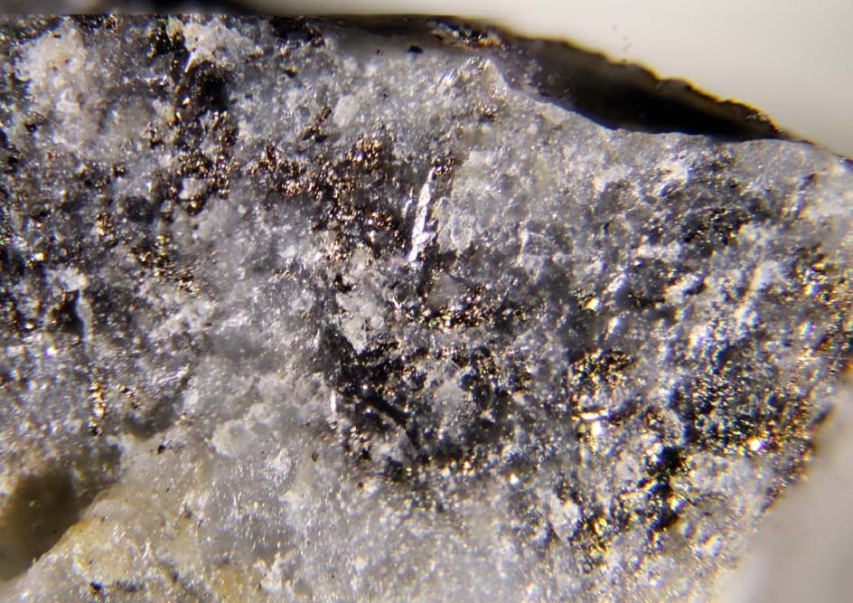 Stannoidite Specimen picture