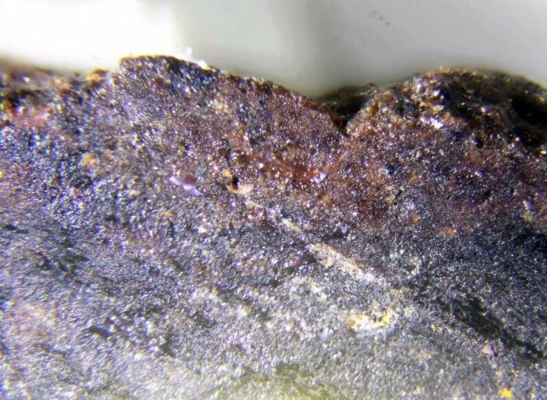 Suessite Specimen picture