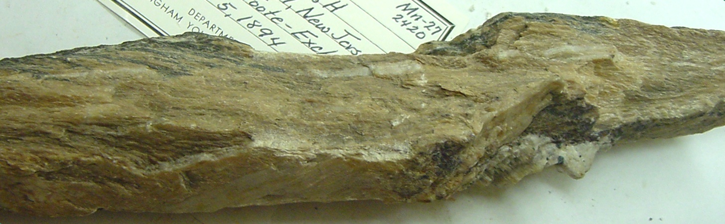 Sussexite Specimen picture