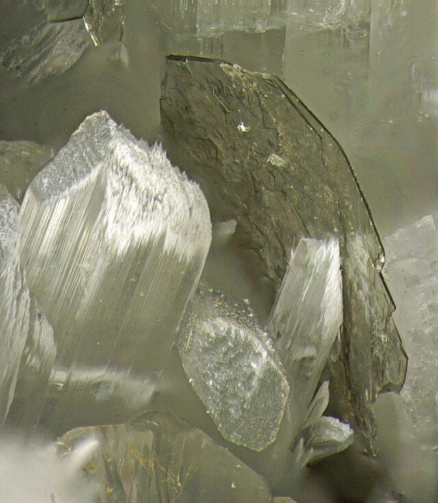 Tainiolite Specimen picture