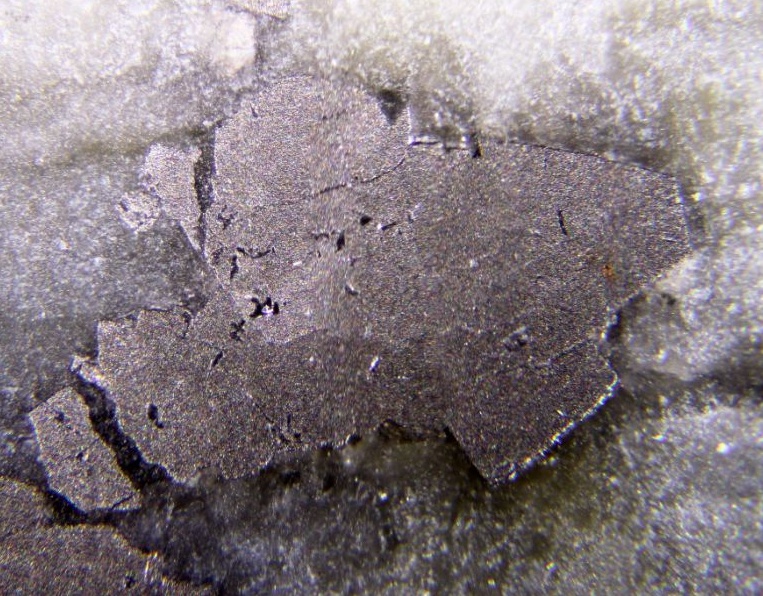 Temagamite Specimen picture