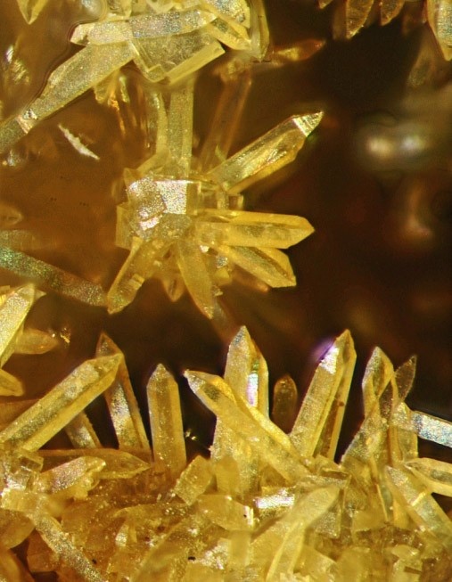 Thomsenolite Specimen picture