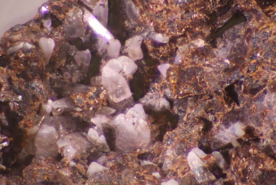 Tilasite Specimen picture