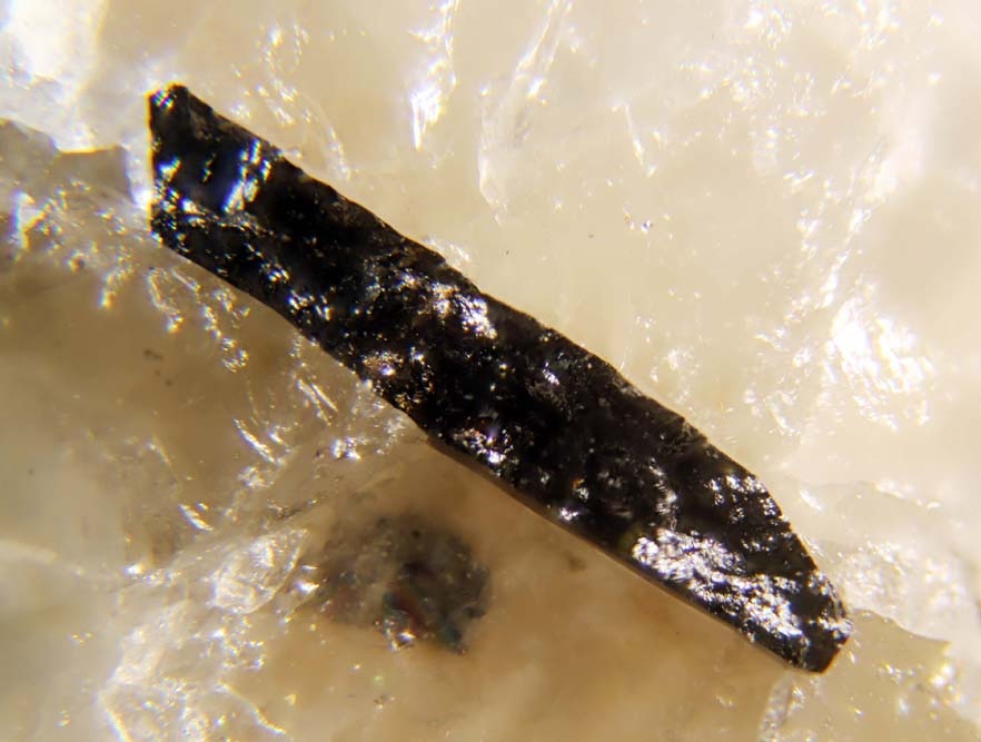Titanowodginite Specimen picture