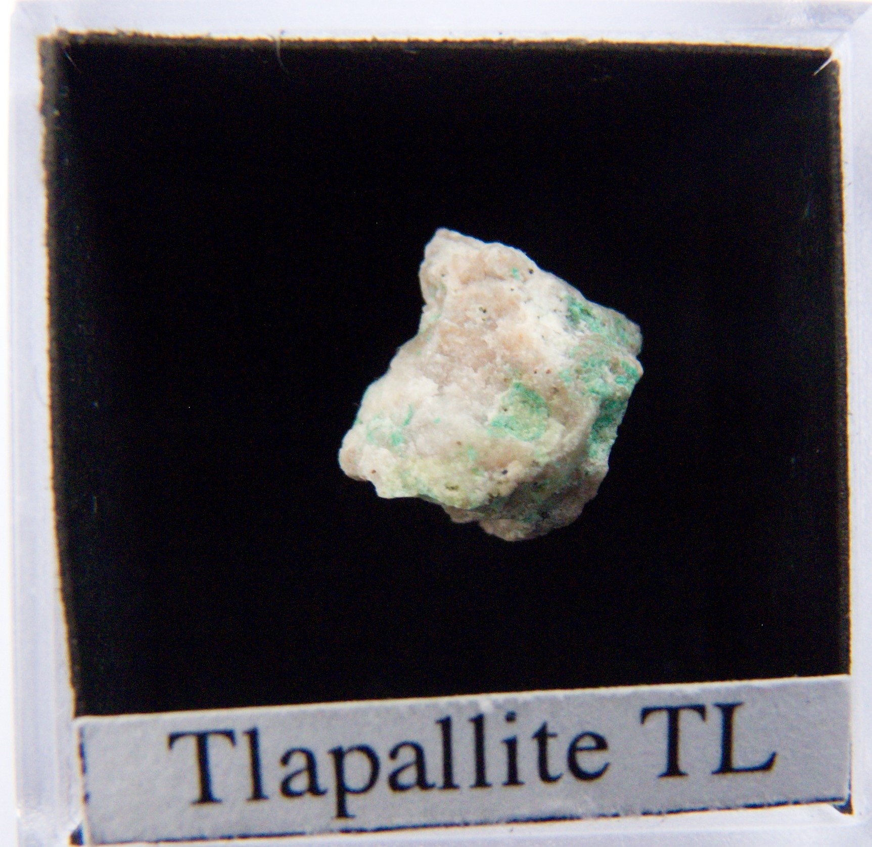 Tlapallite Specimen picture