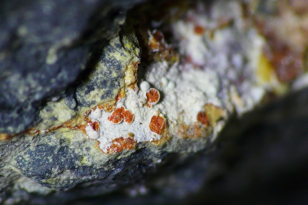 Umohoite Specimen picture