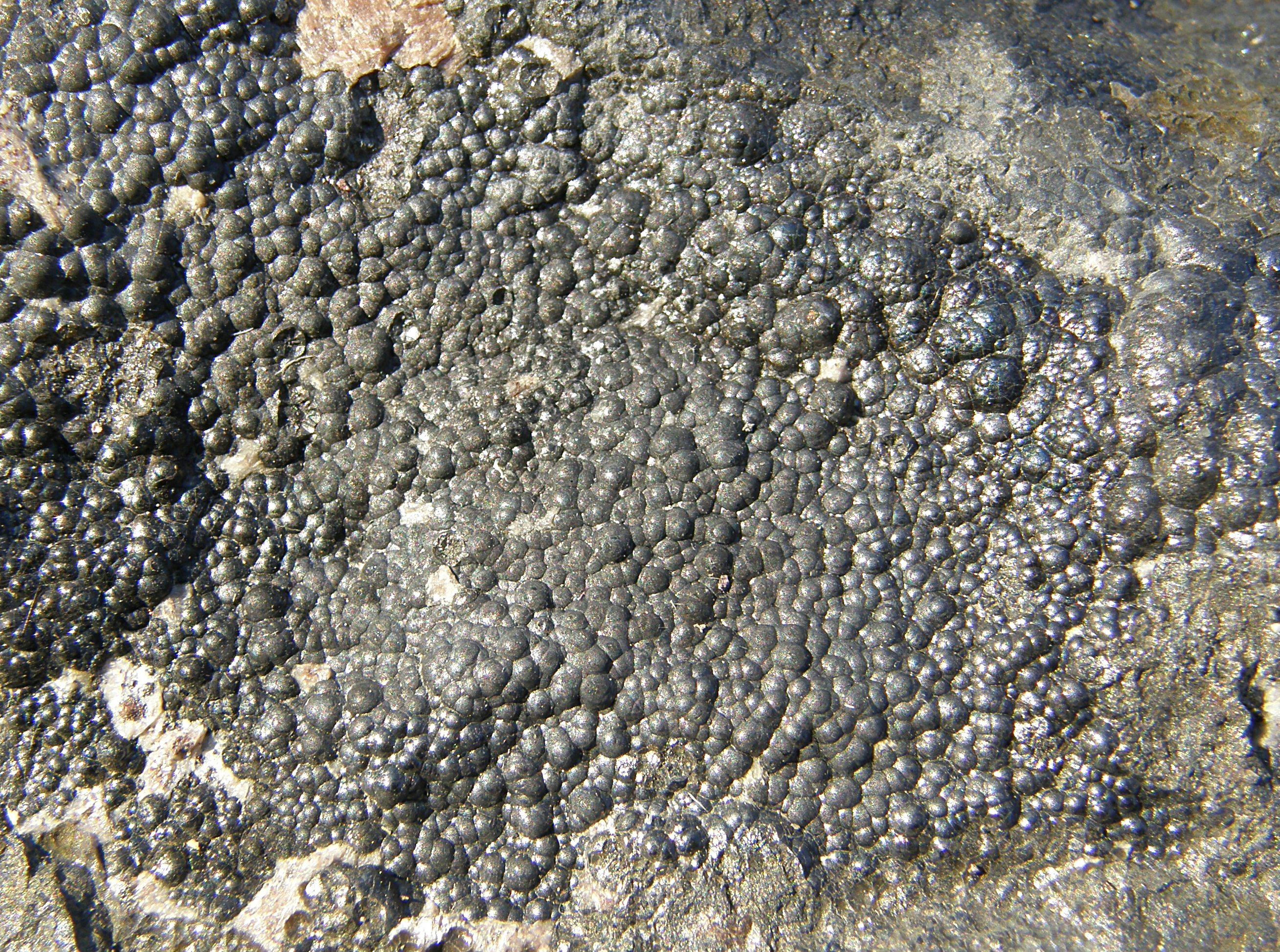 Uraninite Specimen picture