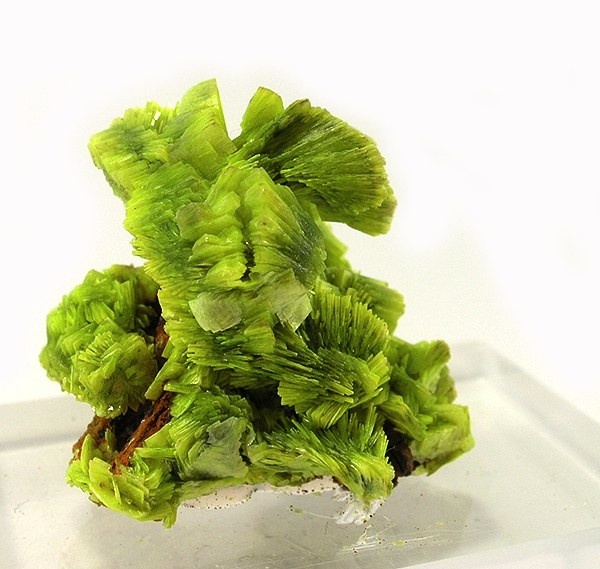 Uranocircite Specimen picture