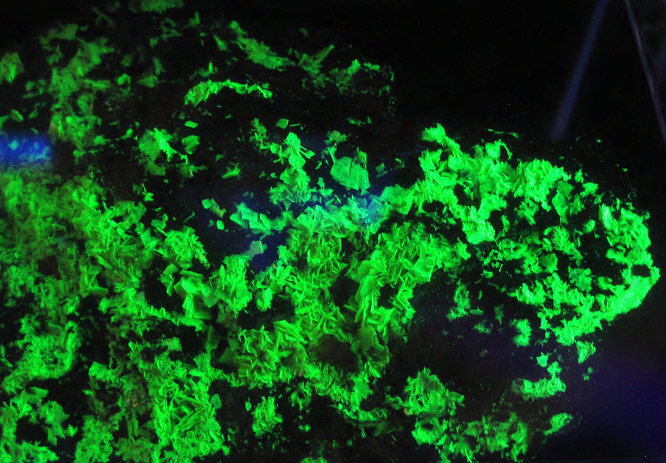 Uranopilite Specimen picture