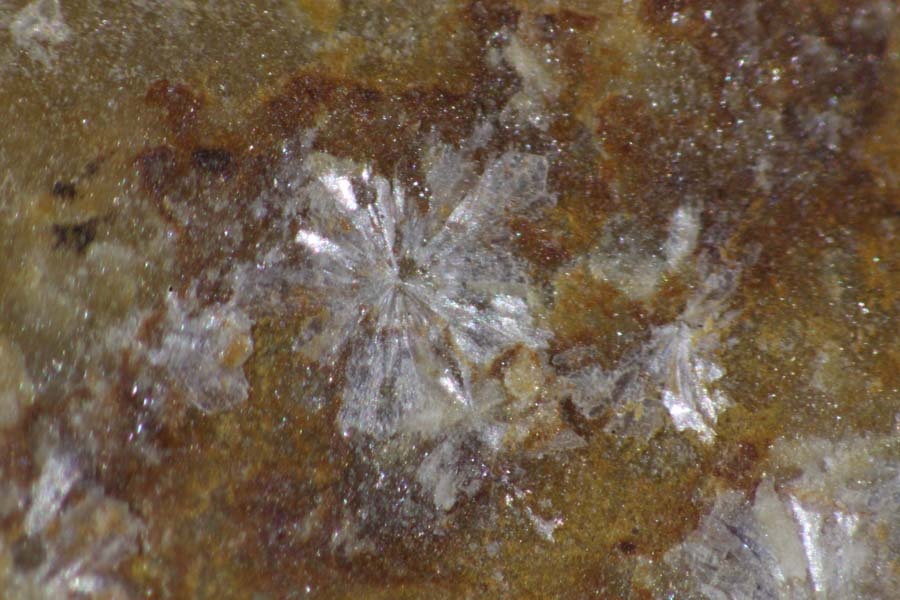 Vantasselite Specimen picture