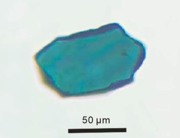 Wadsleyite Specimen picture